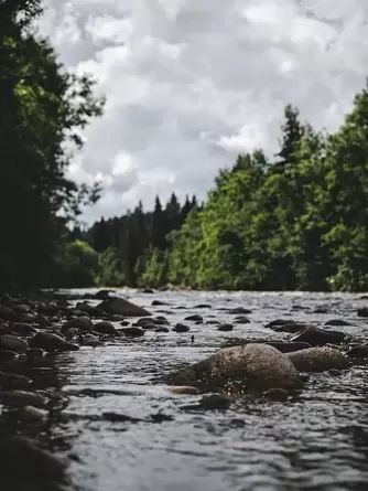 Picture of a stream bordered by trees under a cloudy sky
